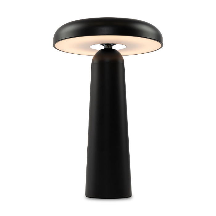 Светильник Freya FR6109TL-L4B