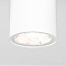 Светильник потолочный Elektrostandard 35129/H белый