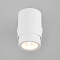 Светильник на 1 лампу Eurosvet 20124/1 белый