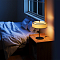 Maytoni MOD613TL-02W