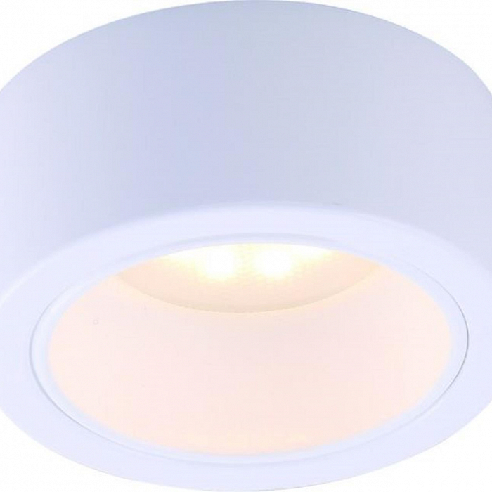 Светильник накладной ARTE LAMP A5553PL-1WH